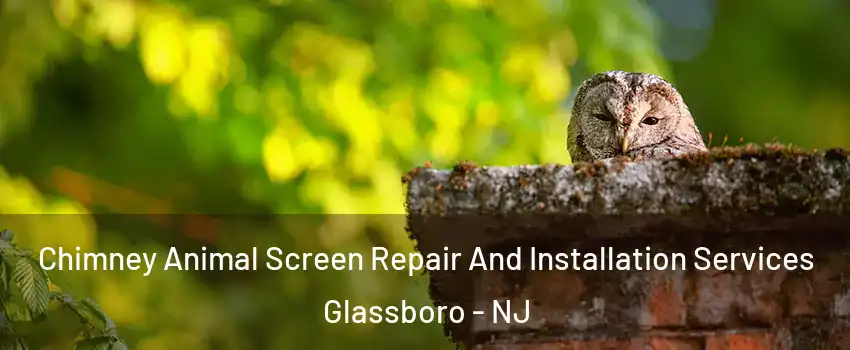  Chimney Animal Screen Repair And Installation Services Glassboro - NJ