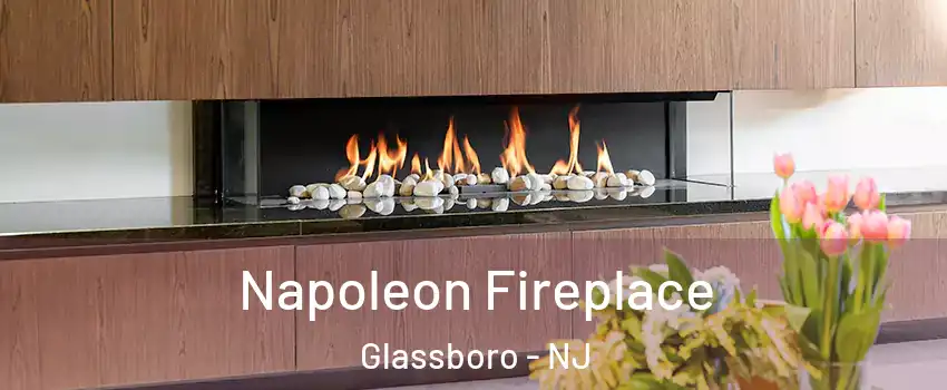  Napoleon Fireplace Glassboro - NJ